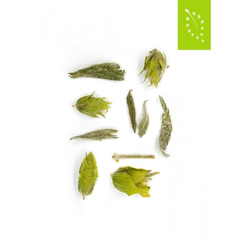 Tea Route - Griechischer Bergtee Bio 40 gr