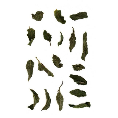 Tea Route - Pfefferminze Bio (Green)