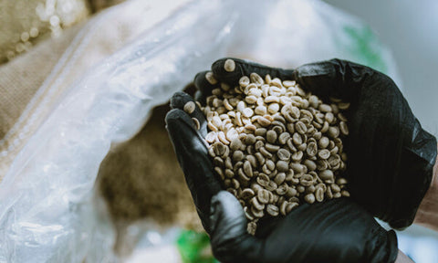 Specialty Coffee
