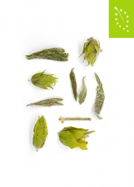 Tea Route - Griechischer Bergtee Bio 40 gr