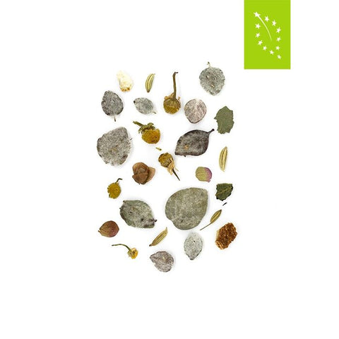 Tea Route - Kretische Berge bio 100gr (Herbal)