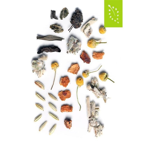 Tea Route - Olympos Detox Bio 100gr